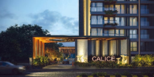 POLARIS CALICE POLARIS CALICE